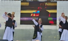 Cursuri de dans popular la Asuaju de Sus