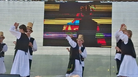 Cursuri de dans popular la Asuaju de Sus