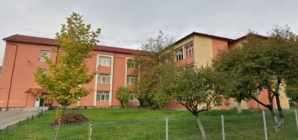 Succes pentru elevii Școlii „Alexandru Ioan Cuza” Baia Mare la Concursul Județean „Mozaic”