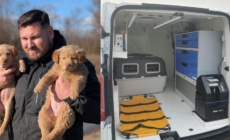 Asociația Fight for Animals Baia Mare organizează o campanie de strângere de fonduri pentru achiziționarea unei ambulanțe veterinare