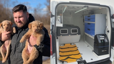 Asociația Fight for Animals Baia Mare organizează o campanie de strângere de fonduri pentru achiziționarea unei ambulanțe veterinare