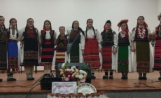 Eleve din Maramureș premiate la Festivalul-concurs Interjudețean ,,Cap de primăvară, talente din școală”