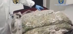 Arestați preventiv pentru trafic de droguri