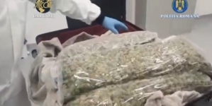 Arestați preventiv pentru trafic de droguri