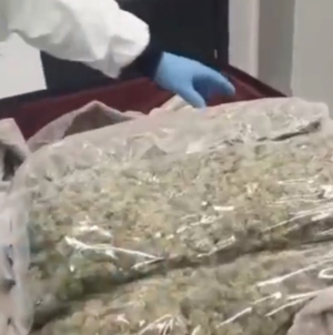 Arestați preventiv pentru trafic de droguri