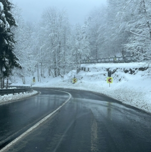Cum stăm cu drumurile în județ