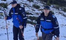 Zeci de misiuni ale jandarmilor maramureșeni în weekend: amenzi de aproape 8.000 de lei