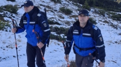 Zeci de misiuni ale jandarmilor maramureșeni în weekend: amenzi de aproape 8.000 de lei