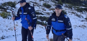 Zeci de misiuni ale jandarmilor maramureșeni în weekend: amenzi de aproape 8.000 de lei