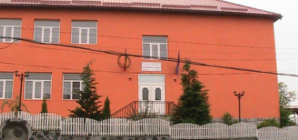 Magia Culorilor și Dulceața Mierii: atelier de colorat și degustare de miere pentru copii la Școala Gimnazială „Laurențiu Ulici” din Rona de Jos