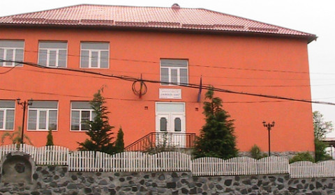 Magia Culorilor și Dulceața Mierii: atelier de colorat și degustare de miere pentru copii la Școala Gimnazială „Laurențiu Ulici” din Rona de Jos