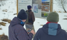 În Parcul Natural Munții Maramureșului continuă monitorizarea zonelor umede