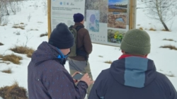 În Parcul Natural Munții Maramureșului continuă monitorizarea zonelor umede