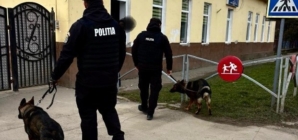 Lecții de la polițiști pentru elevi