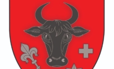 S-a stabilit stema municipiului Sighetu Marmației