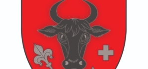 S-a stabilit stema municipiului Sighetu Marmației