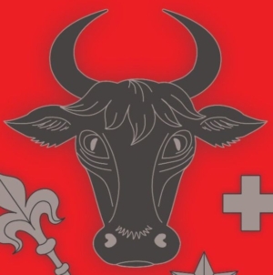 S-a stabilit stema municipiului Sighetu Marmației