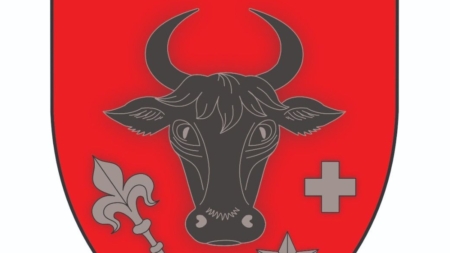 S-a stabilit stema municipiului Sighetu Marmației