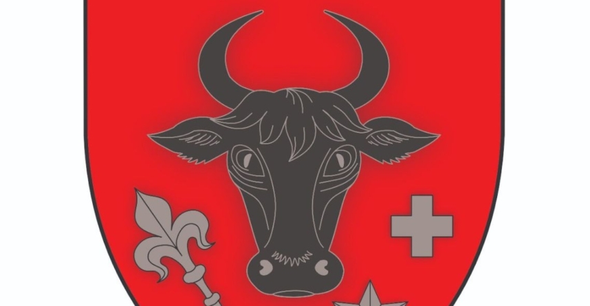 S-a stabilit stema municipiului Sighetu Marmației