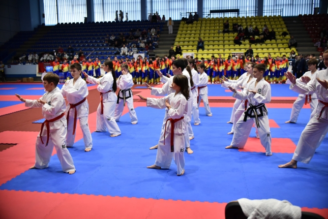 CS Dragonul Baia Mare deschide înscrierile la cursurile de Taekwon-do în orașul Seini