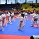 CS Dragonul Baia Mare deschide înscrierile la cursurile de Taekwon-do în orașul Seini