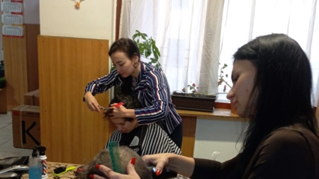 Un grup de stiliști i-a coafat pe beneficiarii Centrului de zi pentru persoane adulte cu dizabilități Bujorului din Baia Mare