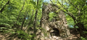 Baia Sprie – file din istoria orașului: Puțul Francisc, o mărturie a trecutului minier