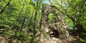 Baia Sprie – file din istoria orașului: Puțul Francisc, o mărturie a trecutului minier