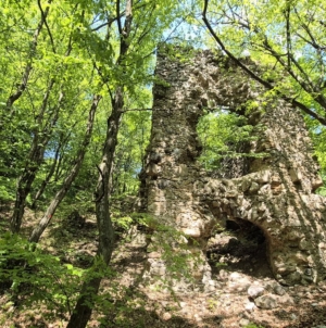 Baia Sprie – file din istoria orașului: Puțul Francisc, o mărturie a trecutului minier