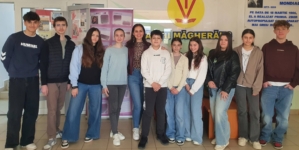Elevii Liceului Tehnologic „Traian Vuia” Tăuții-Măgherăuș, rezultate remarcabile la olimpiadele județene