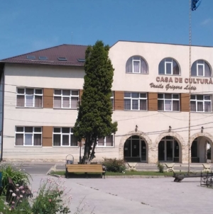 Seară de film la Târgu Lăpuș