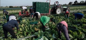 Ce trebuie să știe maramureșenii care lucrează în străinătate