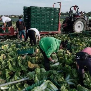 Ce trebuie să știe maramureșenii care lucrează în străinătate