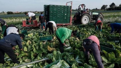 Ce trebuie să știe maramureșenii care lucrează în străinătate