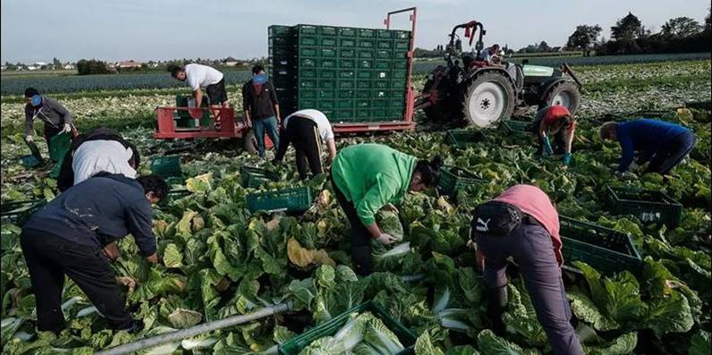 Ce trebuie să știe maramureșenii care lucrează în străinătate