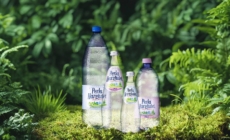 Ungaria cumpără, România vinde! O dezbatere despre identitate și economie