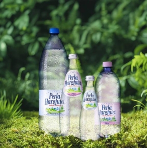 Ungaria cumpără, România vinde! O dezbatere despre identitate și economie