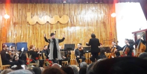 O seară de excepție: Grigore Leșe și orchestra de cameră au cucerit publicul