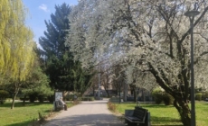 Prognoza meteo Maramureș, 26 martie 2026