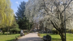 Prognoza meteo Maramureș, 26 martie 2026