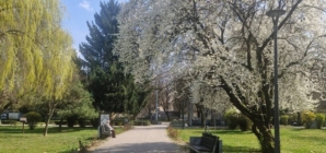 Prognoza meteo Maramureș, 26 martie 2026