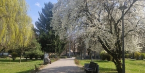 Prognoza meteo Maramureș, 26 martie 2026