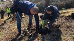 Inițiativă pentru natură, acțiune de împădurire în zona Baia Mare