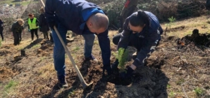 Inițiativă pentru natură, acțiune de împădurire în zona Baia Mare