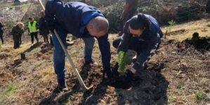 Inițiativă pentru natură, acțiune de împădurire în zona Baia Mare