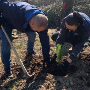 Inițiativă pentru natură, acțiune de împădurire în zona Baia Mare