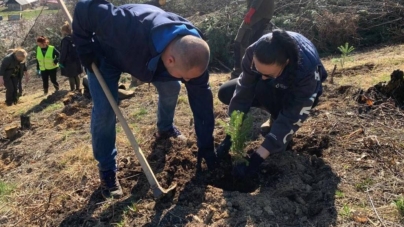 Inițiativă pentru natură, acțiune de împădurire în zona Baia Mare