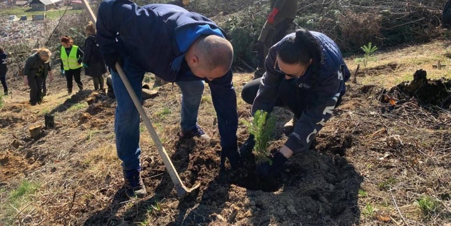 Inițiativă pentru natură, acțiune de împădurire în zona Baia Mare