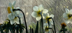 Prognoza meteo Maramureș, marți 31 martie 2026