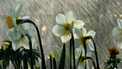 Prognoza meteo Maramureș, marți 31 martie 2026